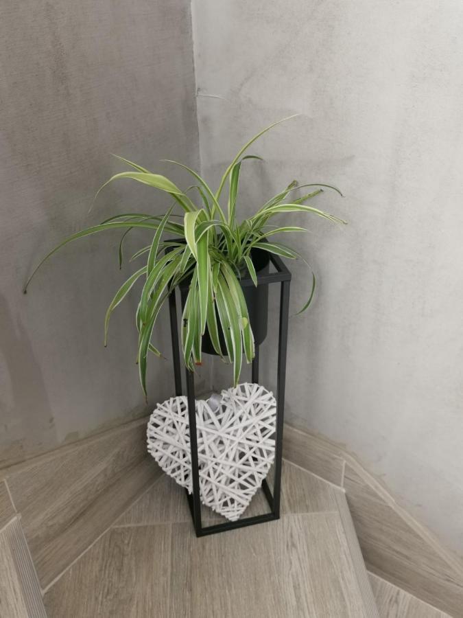 Nozret Apartment Paljuv ภายนอก รูปภาพ